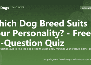 Which Dog Breed Suits Your Personality? - Free 10-Question Quiz - PuppaDogs quiz