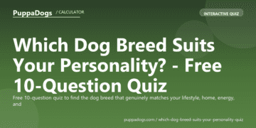 Which Dog Breed Suits Your Personality? - Free 10-Question Quiz - PuppaDogs quiz