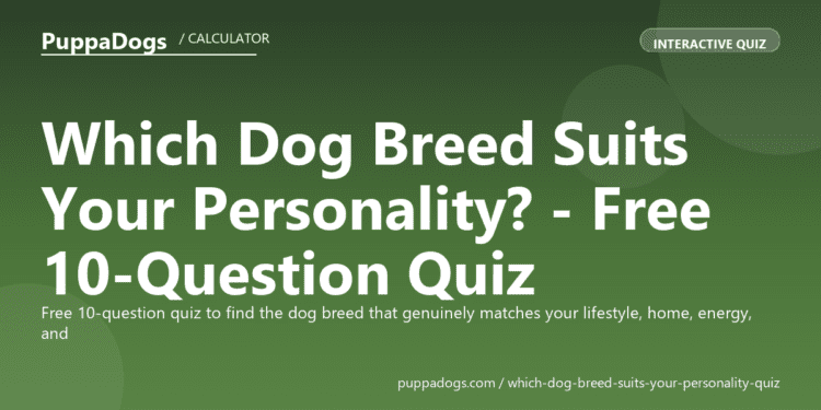 Which Dog Breed Suits Your Personality? - Free 10-Question Quiz - PuppaDogs quiz
