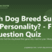 Which Dog Breed Suits Your Personality? - Free 10-Question Quiz - PuppaDogs quiz