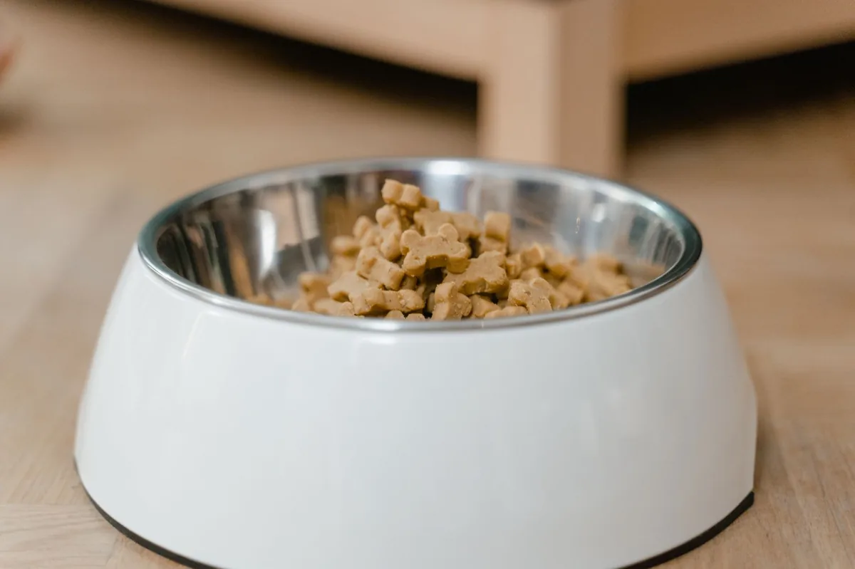Dog bowl filled with high-quality kibble, a small side dish of boiled chicken, and a glass of water beside it on a kitchen counter