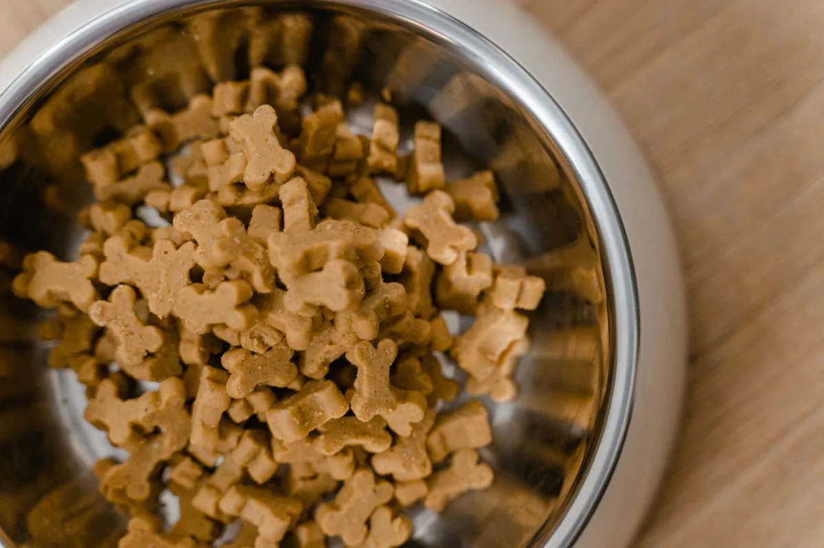 Hand placing a measured scoop of omega‑3 enriched kibble into a dog bowl, bright kitchen, calm setting, close‑up