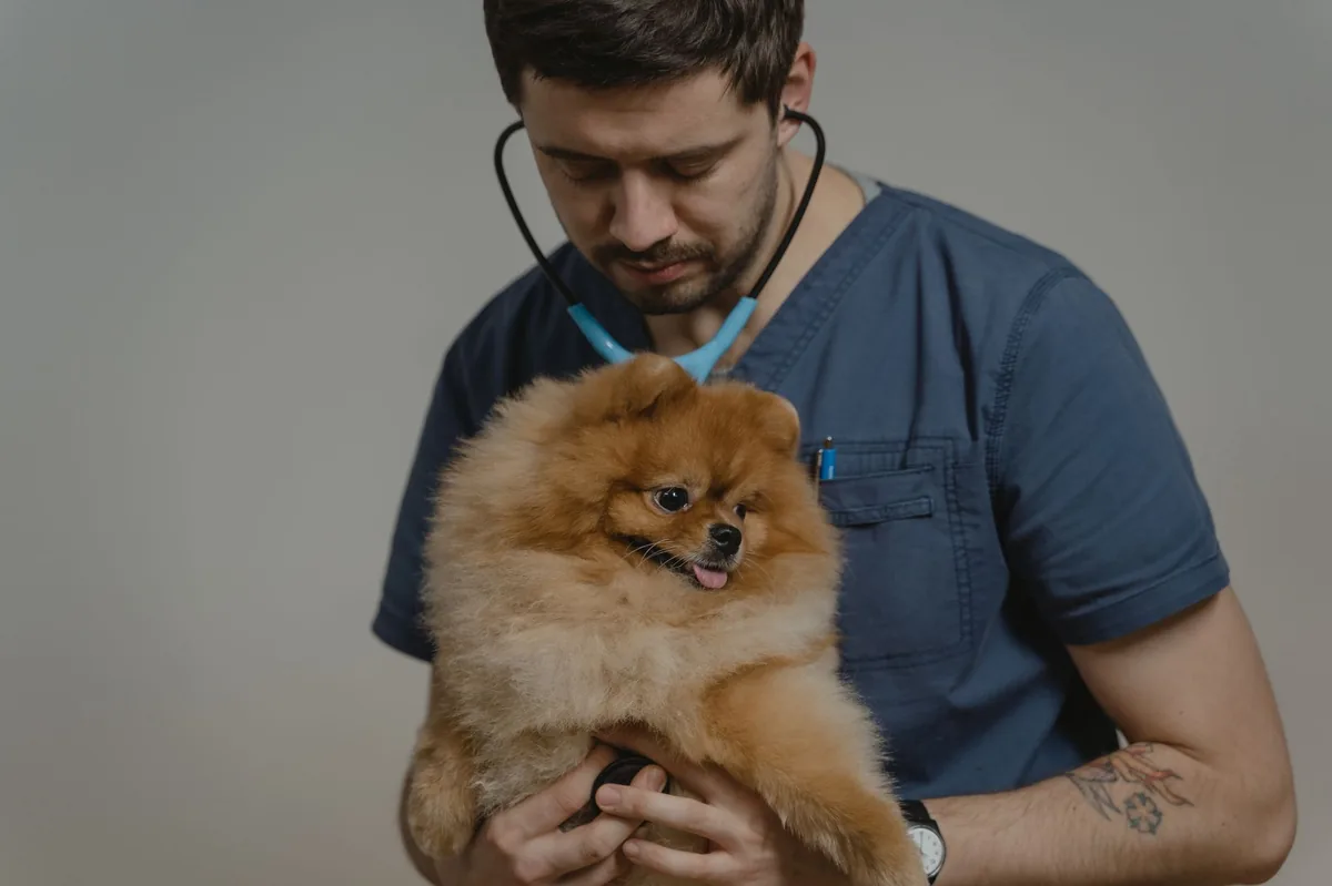 Close‑up of a dog's pale gums being gently lifted by an owner's fingertip, soft natural light highlighting the pink‑gray hue