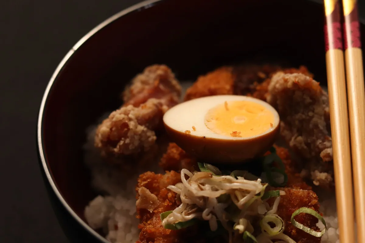 A bowl of plain boiled chicken and white rice on a kitchen counter, with a dog watching expectantly