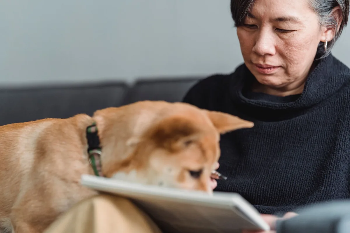 Veterinarian reviewing a CT scan of a dog’s chest, highlighting bright calcium deposits on the monitor