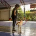 Two medium‑size dogs in a backyard, one with ears back and a tense posture, the other snarling, soft evening light