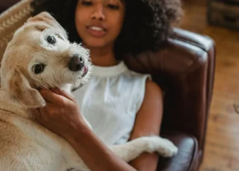 Adult mixed‑breed dog lying on a couch with a worried owner checking her front paw, soft indoor lighting