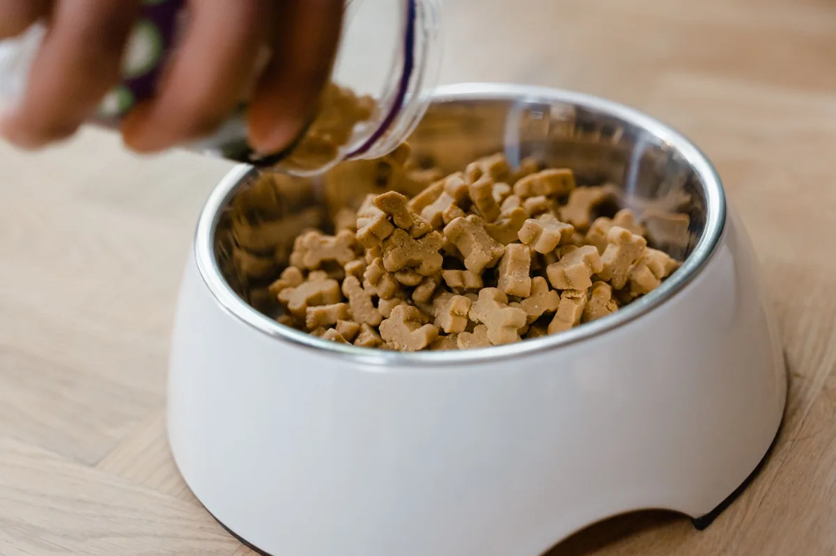 Dog bowl with cooked chicken, rice, and a drizzle of fish oil, placed on a kitchen counter