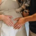 Golden Retriever puppy curled up beside her pregnant mother, showing the mother’s enlarged belly and pink nipples