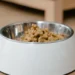 Golden Retriever sitting beside a kitchen counter with a bowl of kibble, owner checking the dog's gums