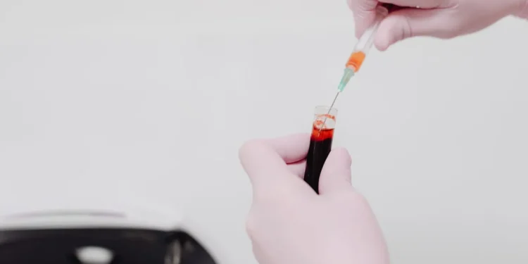 Senior mixed‑breed Labrador lying on a couch, looking tired with pale gums