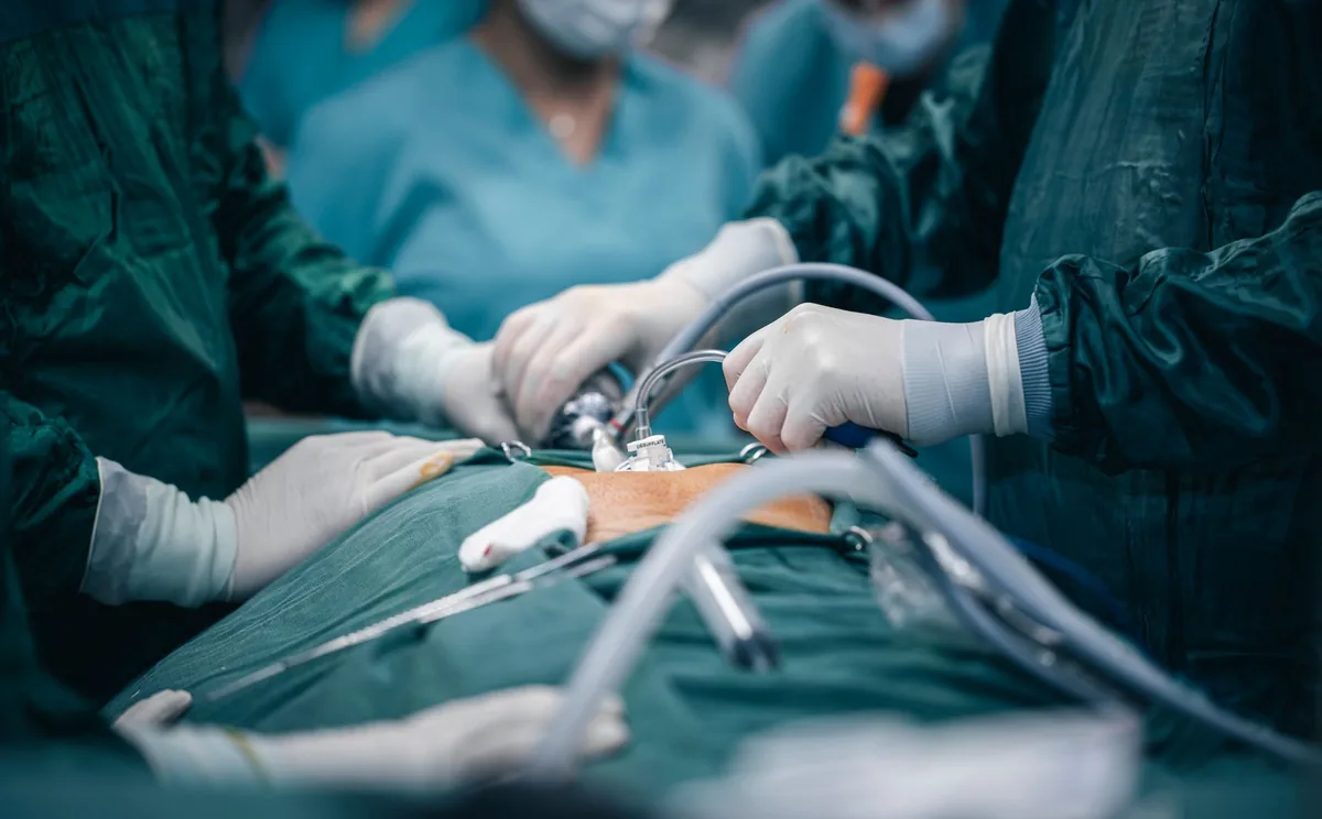 Veterinarian performing a laparoscopic cryptorchidectomy on a medium‑size dog, showing the tiny instruments and a monitor displaying the abdominal cavity
