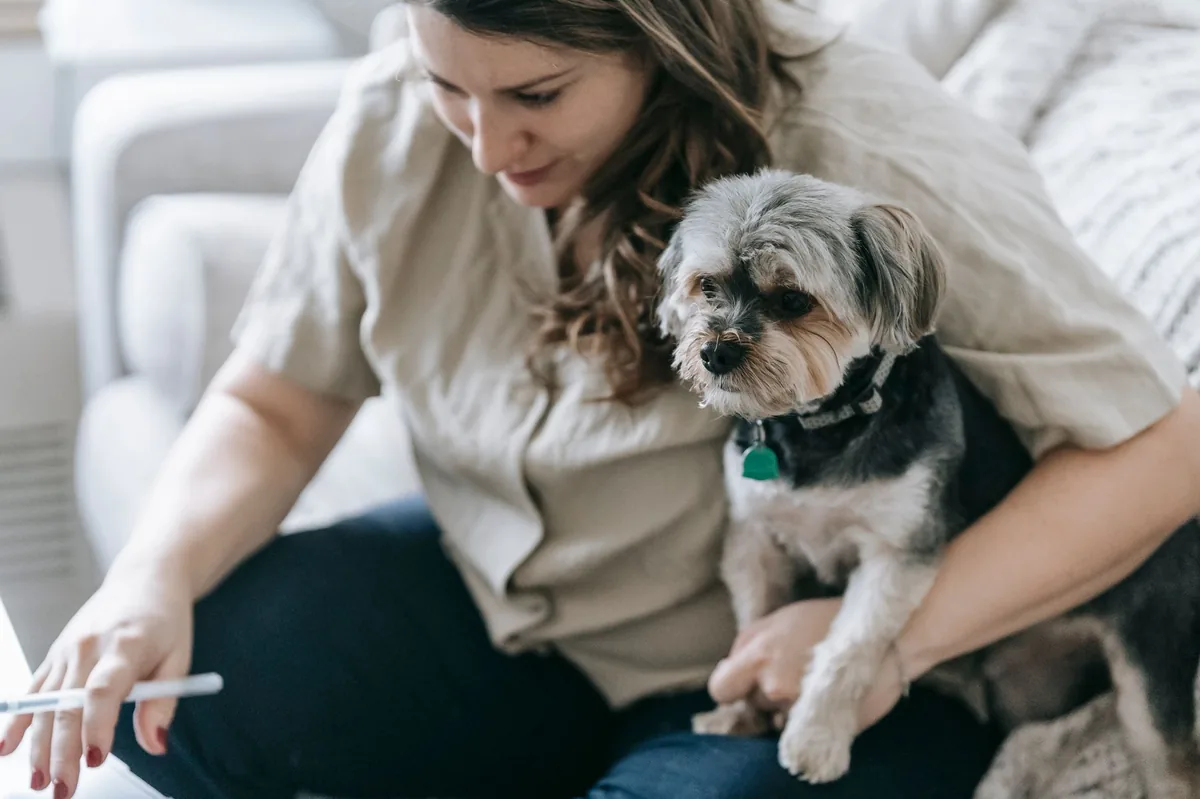 Veterinarian placing an IV catheter in a small dog’s front leg while an owner watches anxiously