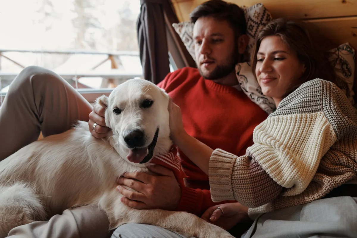 Puppy with pale gums and low energy lying on a soft blanket, owner gently checking the mouth