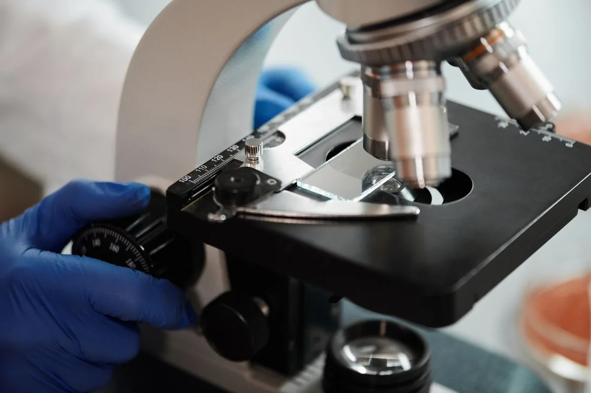 Veterinarian examining a dog's blood sample under a microscope in a bright clinic