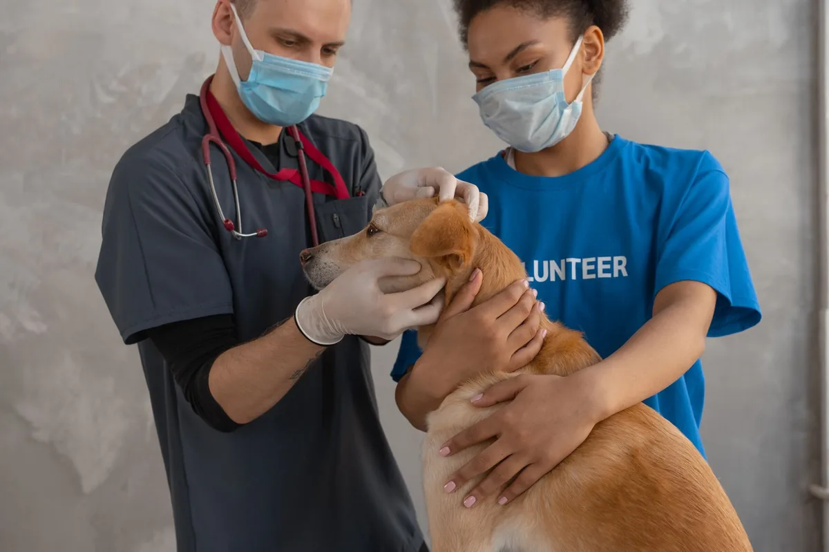 Veterinarian gently examining a dog's eye with a slit lamp, the dog looks calm, bright clinic lighting