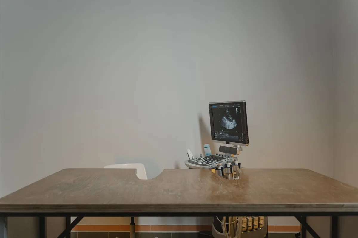 Veterinarian gently examining a dog's abdomen on an exam table, showing a calm clinical setting