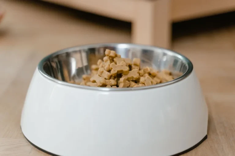 Caucasian Shepherd Dog Nutrition: Complete Diet, Feeding & Weight Guide